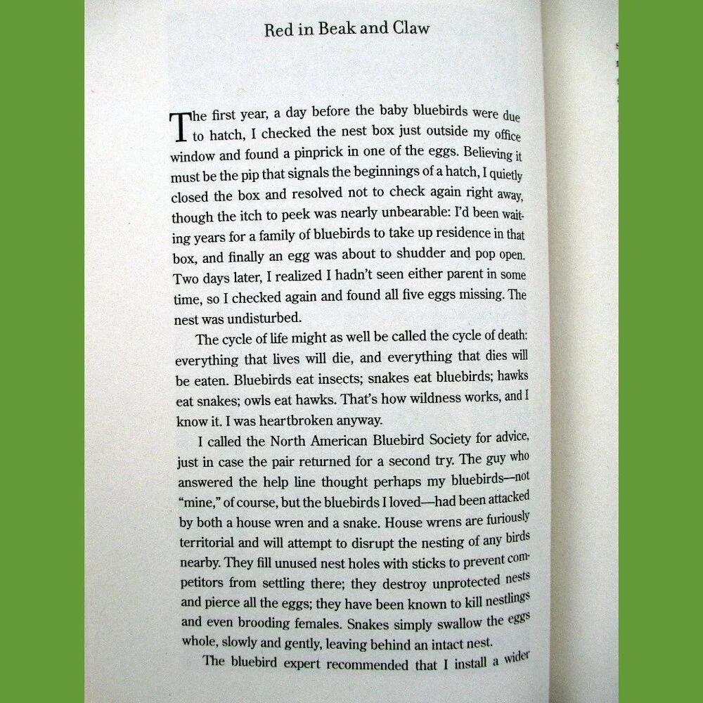 Book - Late Migrations: A Natural History of Love & Loss, by Margaret Renkl - Picture 9 of 13